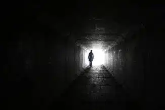 The Virtual Experience